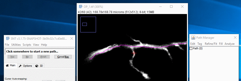 Holding 'G' (Group paths around cursor) will select the closest path to the mouse pointer