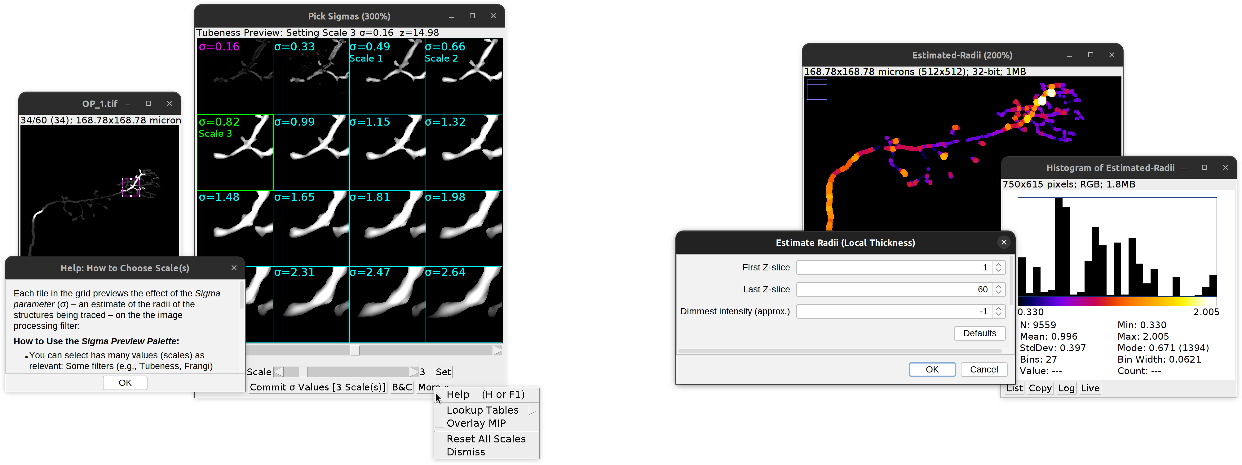 Secondary layer wizard previewers