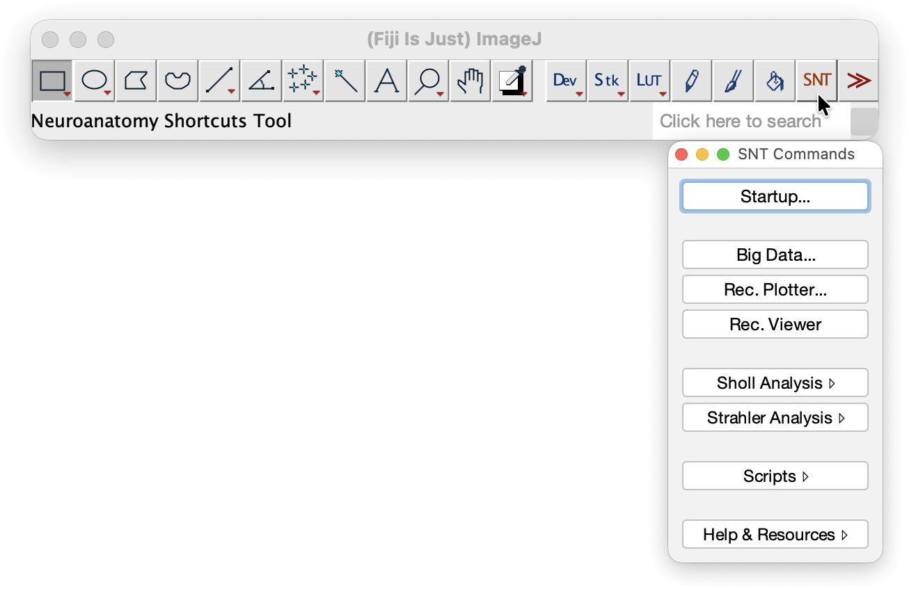 The Neuroanatomy Shortcuts panel can be toggled using the SNT icon in the ImageJ toolbar