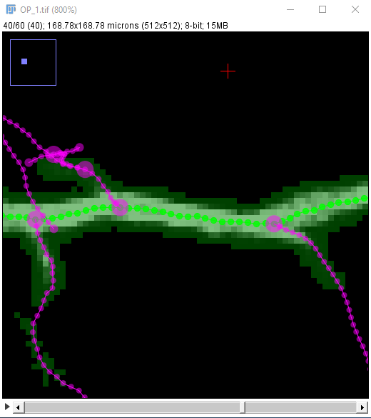 Fill, with 'Transparent overlay' on