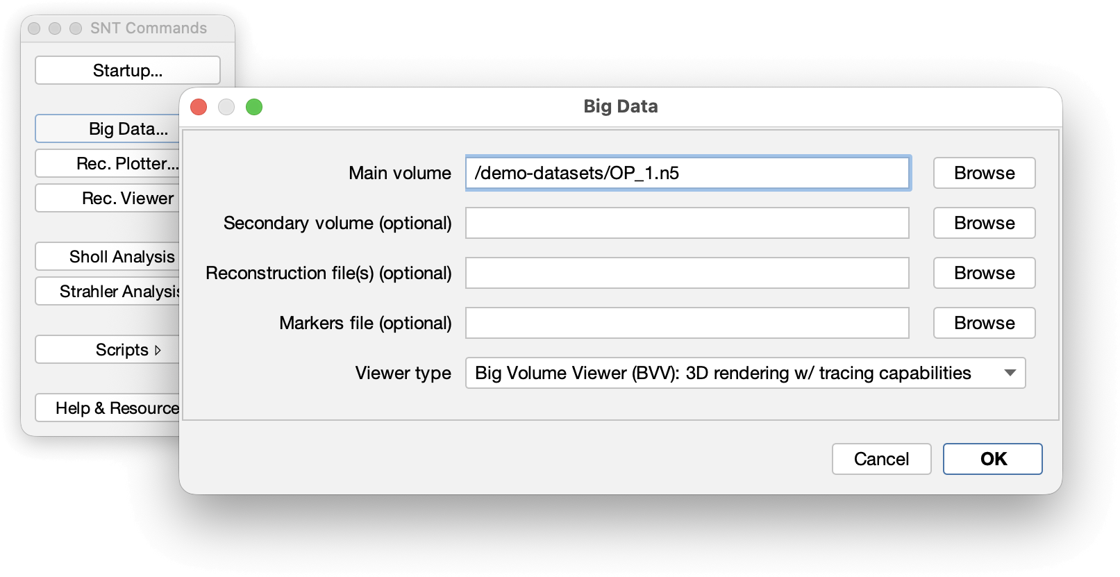 Big Data Prompt (v.5.1)
