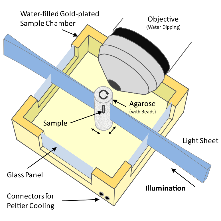 <b>Figure 1:</b> Schematic drawing of a Selective Plane Illumination Microscope