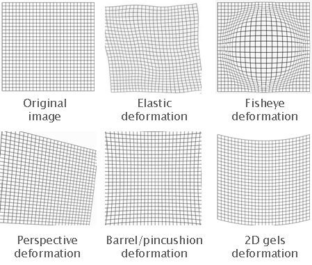 SplineDeformationGenerator available image deformations