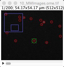 Spotintensityanalysisimage