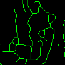 Figure 3: A morphological skeleton generated from iterative thinning of the Figure 2 binary image (resized from original).