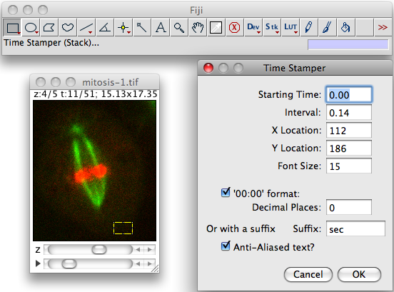 Time stamper parameters