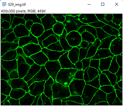 /media/plugins/trackmate/detectors/cellpose/trackmate-cellpose-convert-rgb-01.png