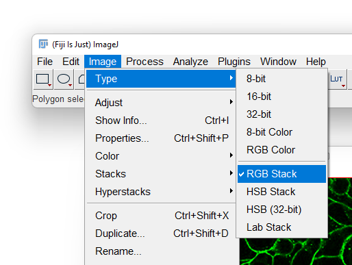 /media/plugins/trackmate/detectors/cellpose/trackmate-cellpose-convert-rgb-02.png