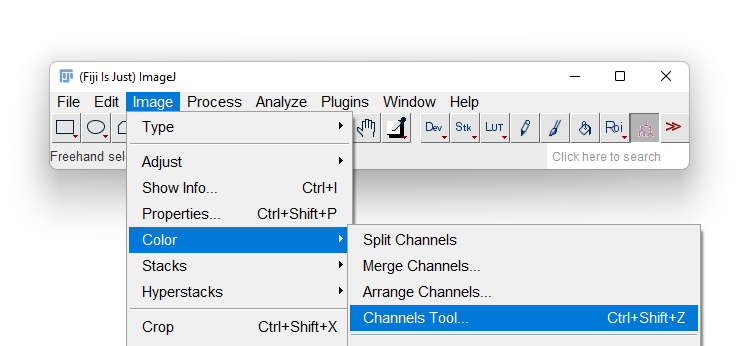 /media/plugins/trackmate/detectors/cellpose/trackmate-cellpose-convert-rgb-03.png