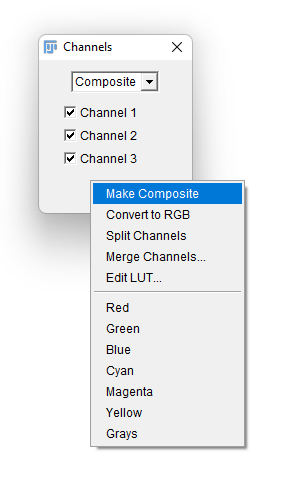 /media/plugins/trackmate/detectors/cellpose/trackmate-cellpose-convert-rgb-04.png