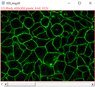 /media/plugins/trackmate/detectors/cellpose/trackmate-cellpose-convert-rgb-05.png