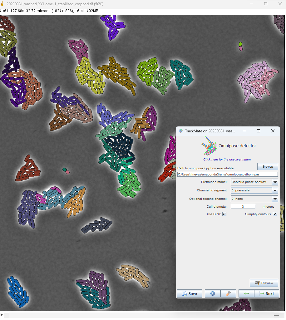 /media/plugins/trackmate/detectors/cellpose/trackmate-omnipose-01.png
