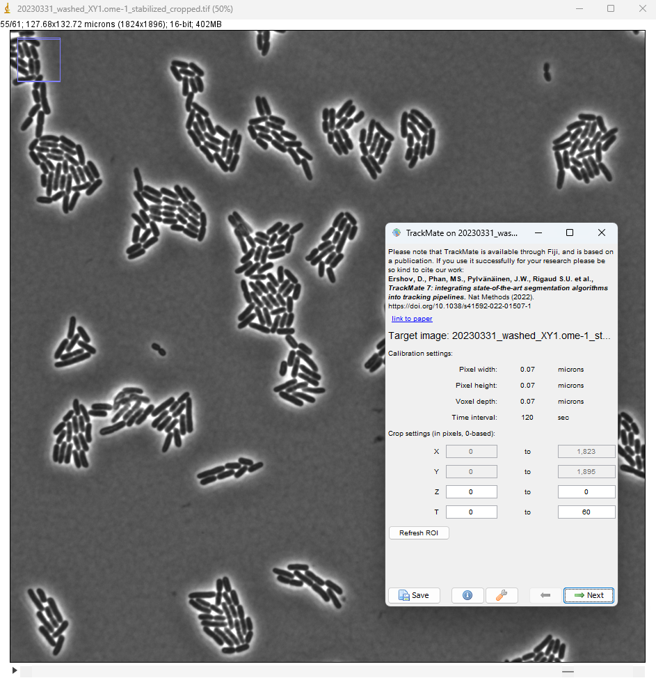 /media/plugins/trackmate/detectors/cellpose/trackmate-omnipose-tutorial-01.png