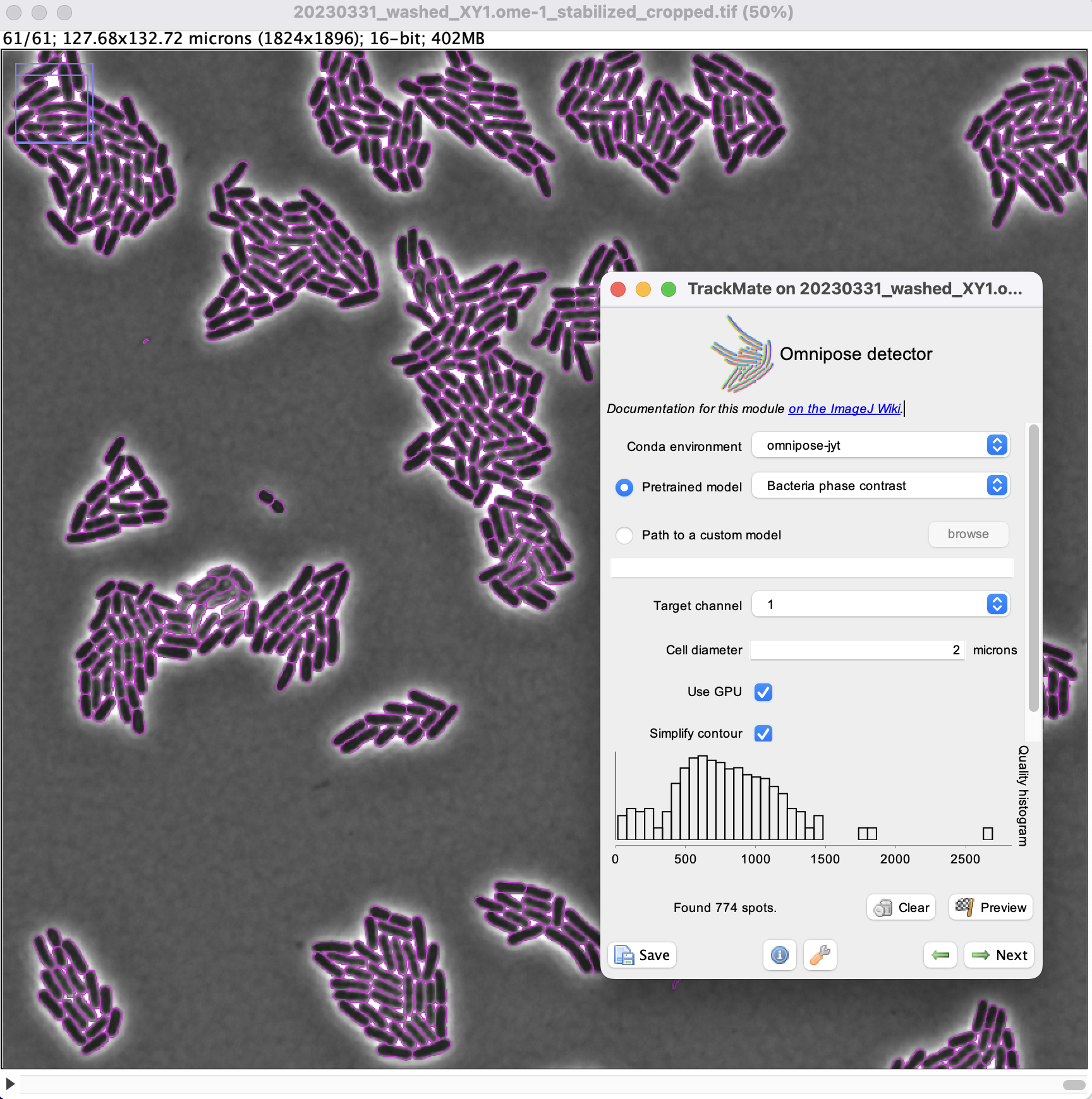 /media/plugins/trackmate/detectors/cellpose/trackmate-omnipose-tutorial-04.png