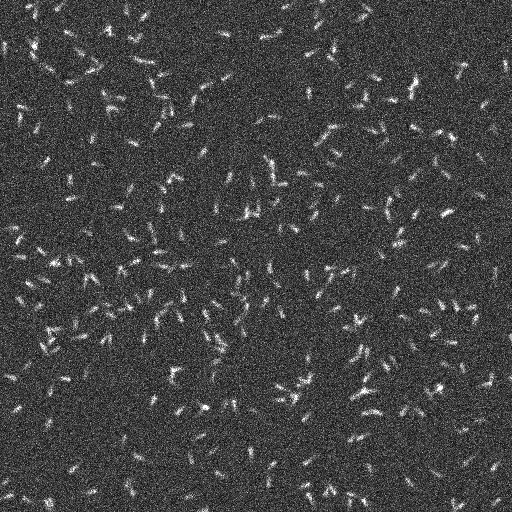 /media/plugins/trackmate/microtubule-snr-4-density-mid-1