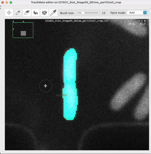 /media/plugins/trackmate/spot-editor/TrackMate-Editor-Paint-AddMode.gif