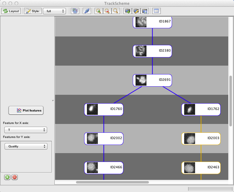 /media/plugins/trackmate/trackmate-branchingtrack.png