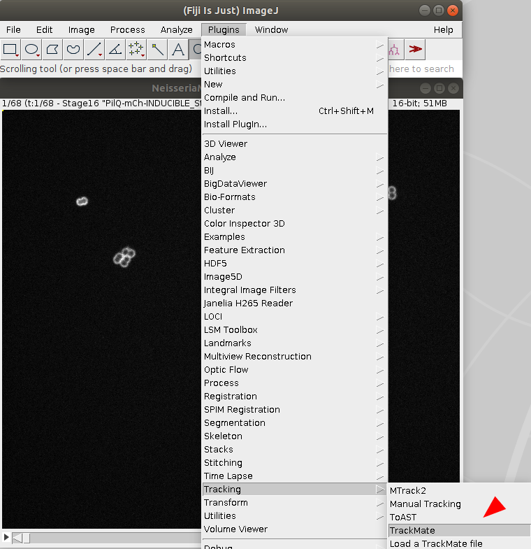 /media/plugins/trackmate/trackmate-ilastik-tutorial_0.png