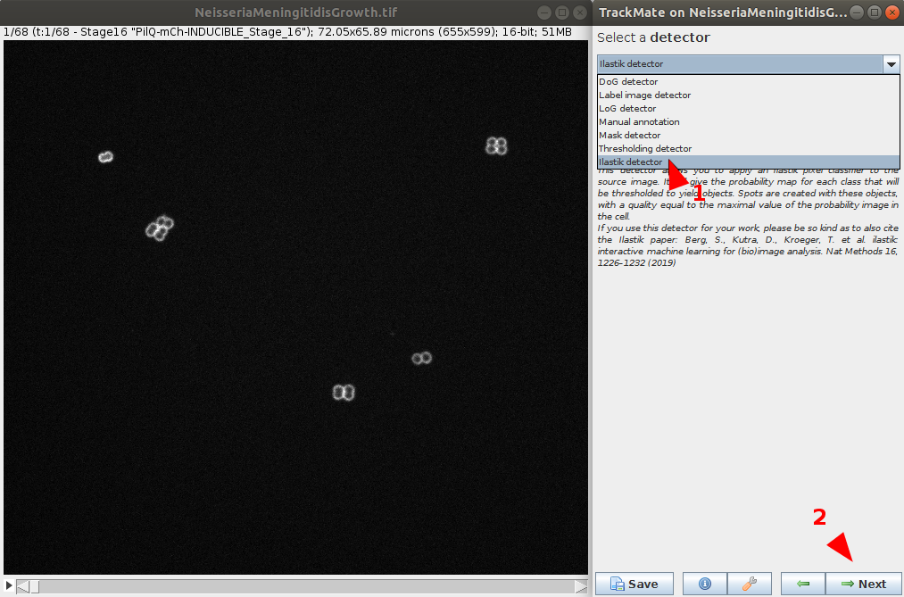 /media/plugins/trackmate/trackmate-ilastik-tutorial_2.png