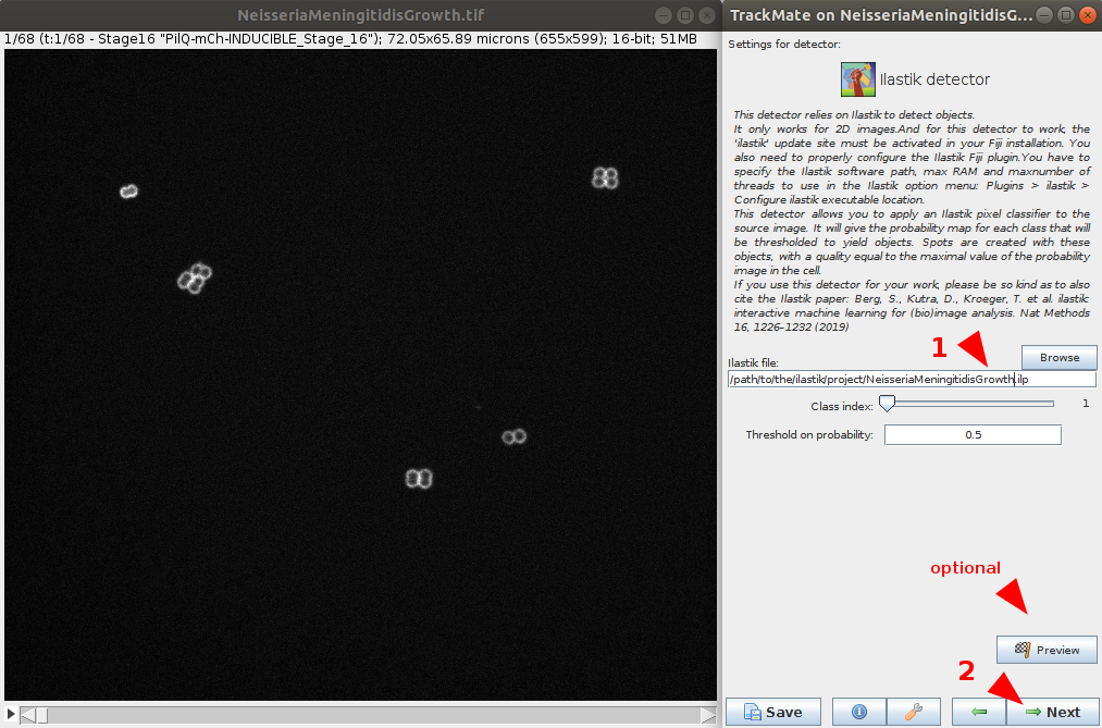 /media/plugins/trackmate/trackmate-ilastik-tutorial_3.png