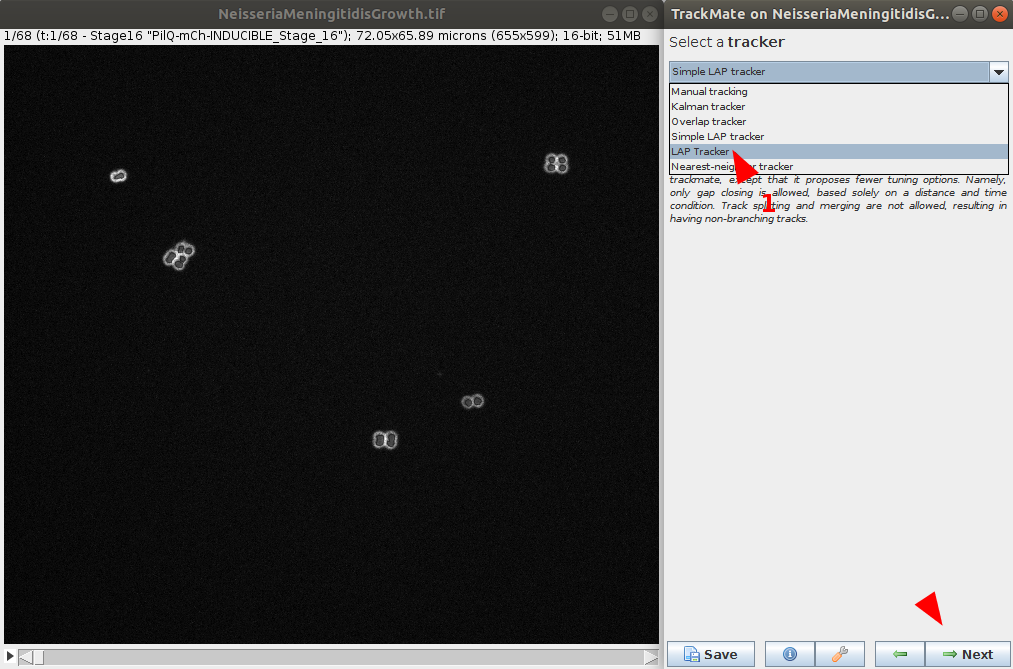 /media/plugins/trackmate/trackmate-ilastik-tutorial_6.png