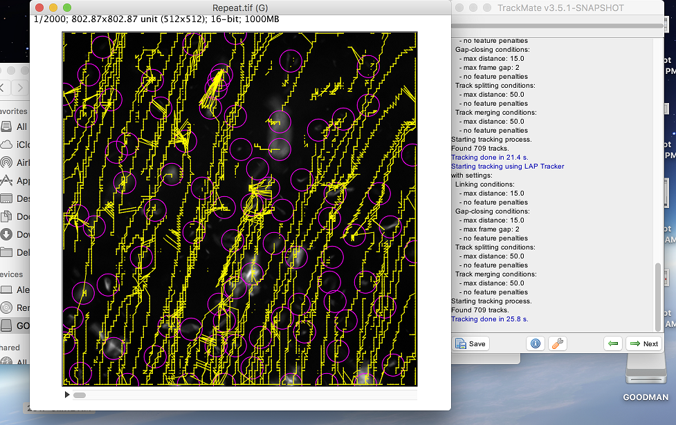 TrackMate_JaggedLines.png TrackMate_JaggedLines.png