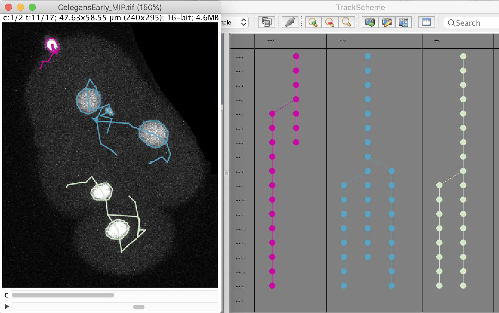 /media/plugins/trackmate/trackmate-mask-tutorial-5.png
