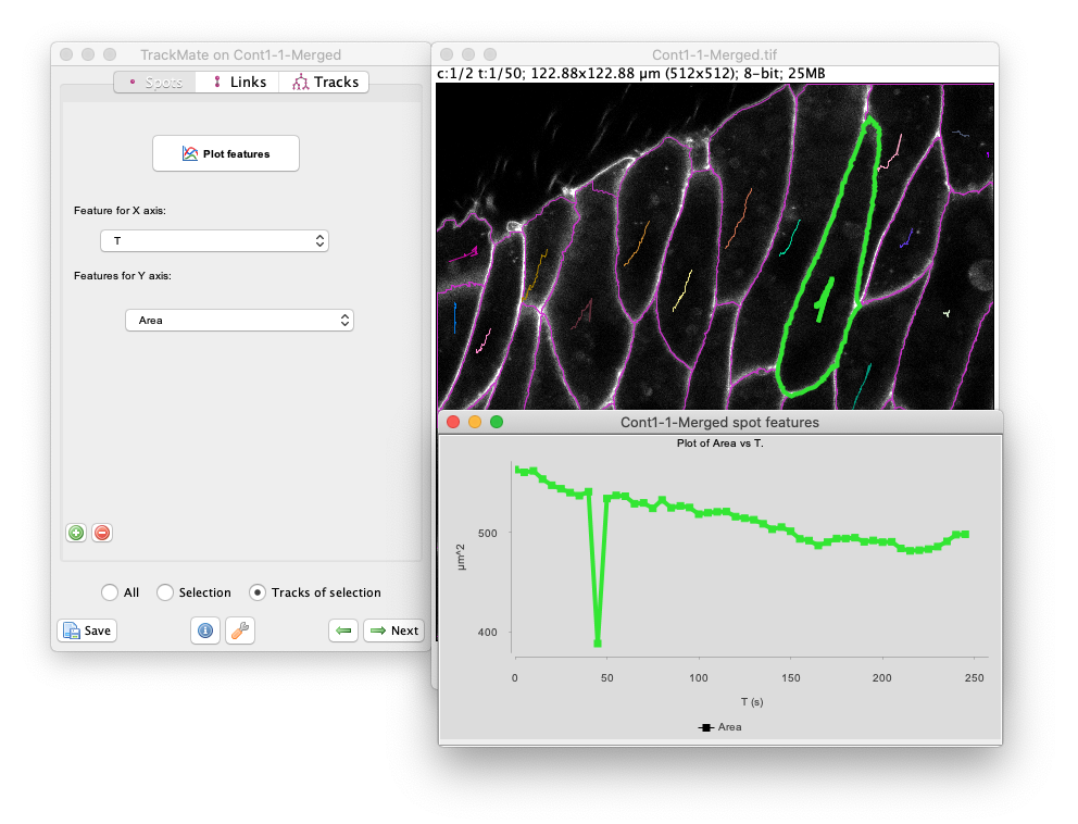 /media/plugins/trackmate/trackmate-morpholibj-tutorial-10.png