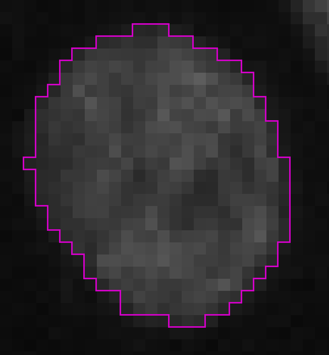 /media/plugins/trackmate/trackmate-spot-contour-pixel.png