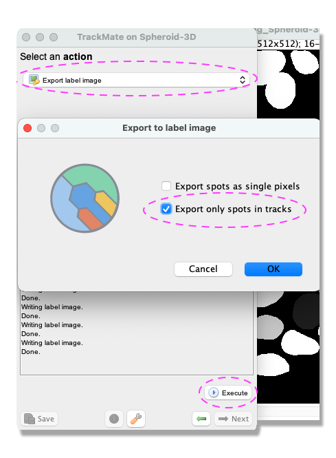 /media/plugins/trackmate/trackmate-stardist-spheroid-tutorial-7.png