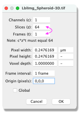 /media/plugins/trackmate/trackmate-stardist-spheroid-tutorial-8.png