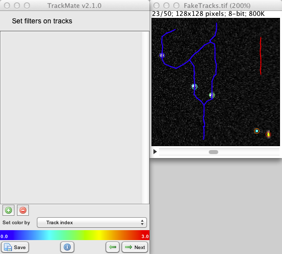 TrackMate tracking results with splitting and merging events