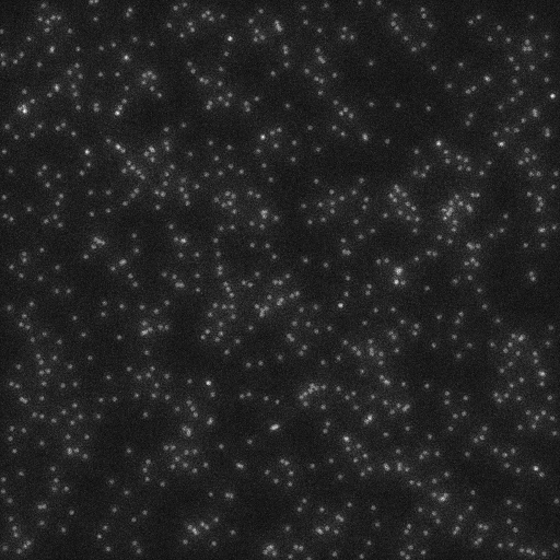 /media/plugins/trackmate/vesicle-snr-7-density-high-1