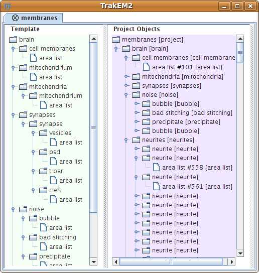Trakem2 tree datastructure