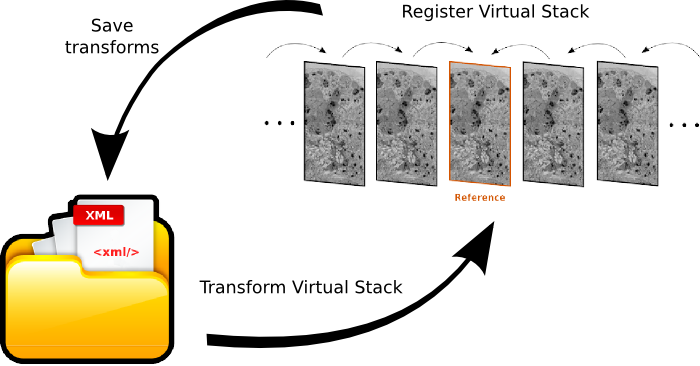 Transform Virtual Stack scheme - All images are transformed based on the XML files