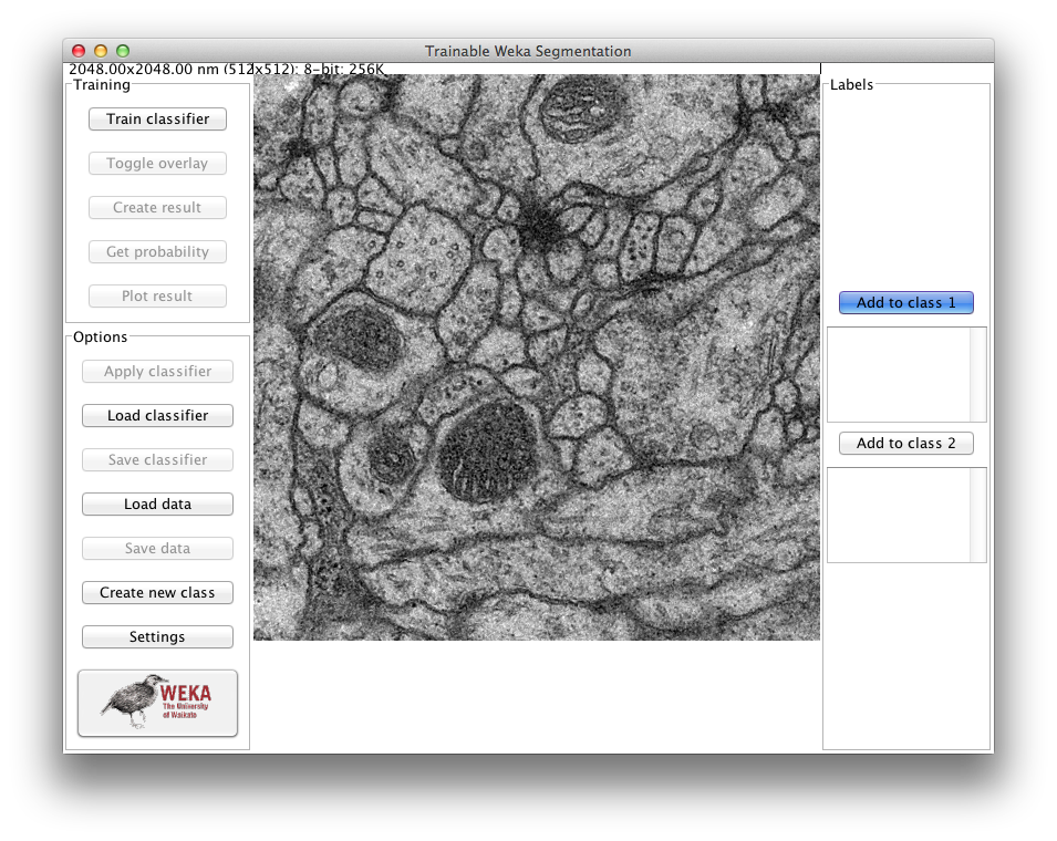 Trainable Weka Segmentation main GUI