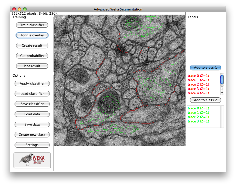 Trainable Weka Segmentation training traces selection