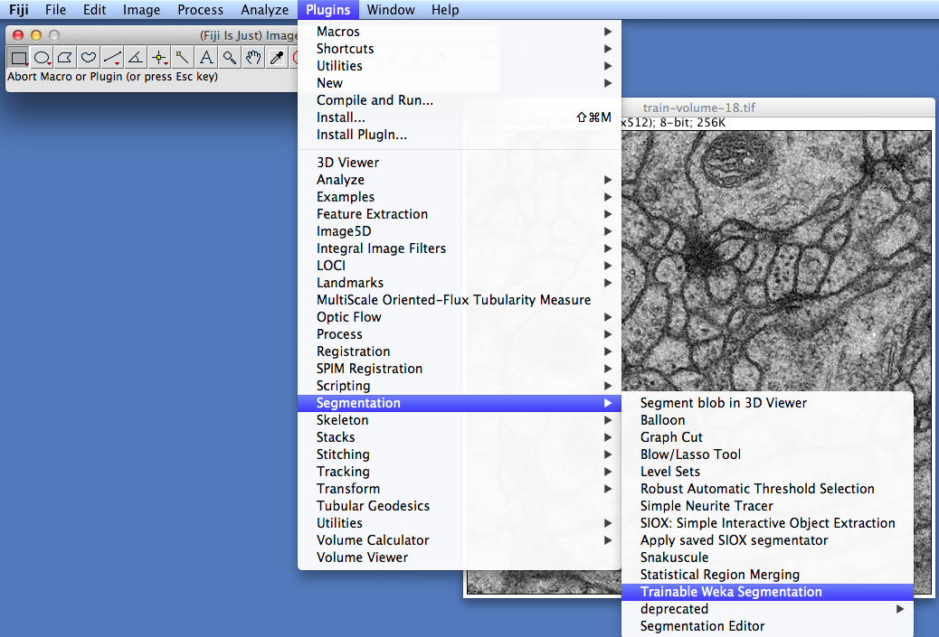 Opening Trainable Weka Segmentation plugin