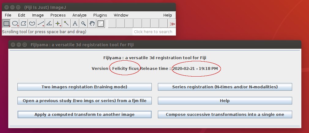 Versioning_Fijiyama.jpeg Versioning_Fijiyama.jpeg