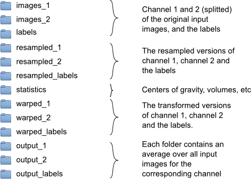 Vib protocol 4
