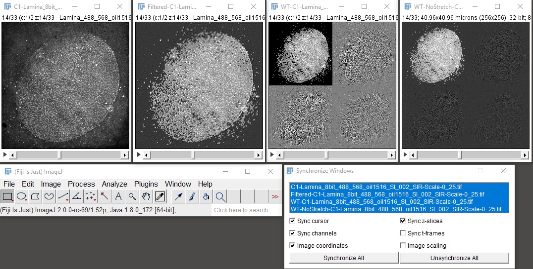 Wavelet denoise pics imagej syncwins