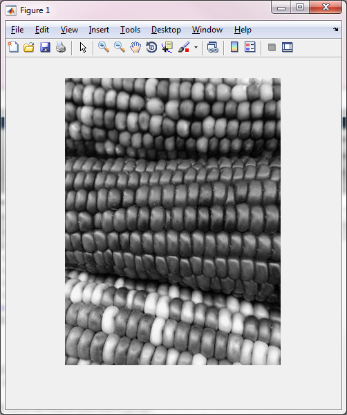 Corn image in MATLAB