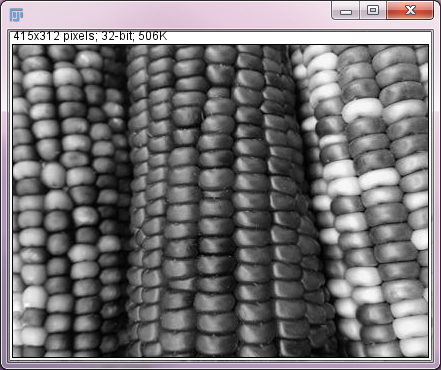 Corn image in ImageJ2