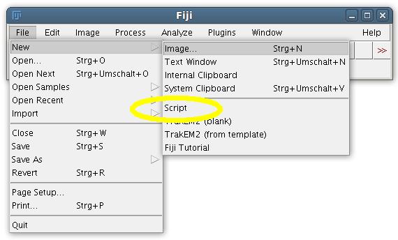 Script editor window