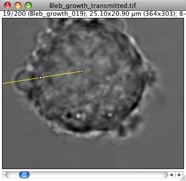 Generate and exploit kymographs 1