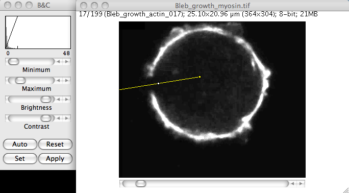 Generate and exploit kymographs 7