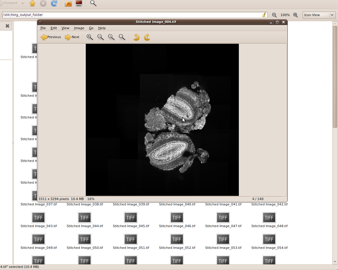 Screenshot file browser stitched sequence