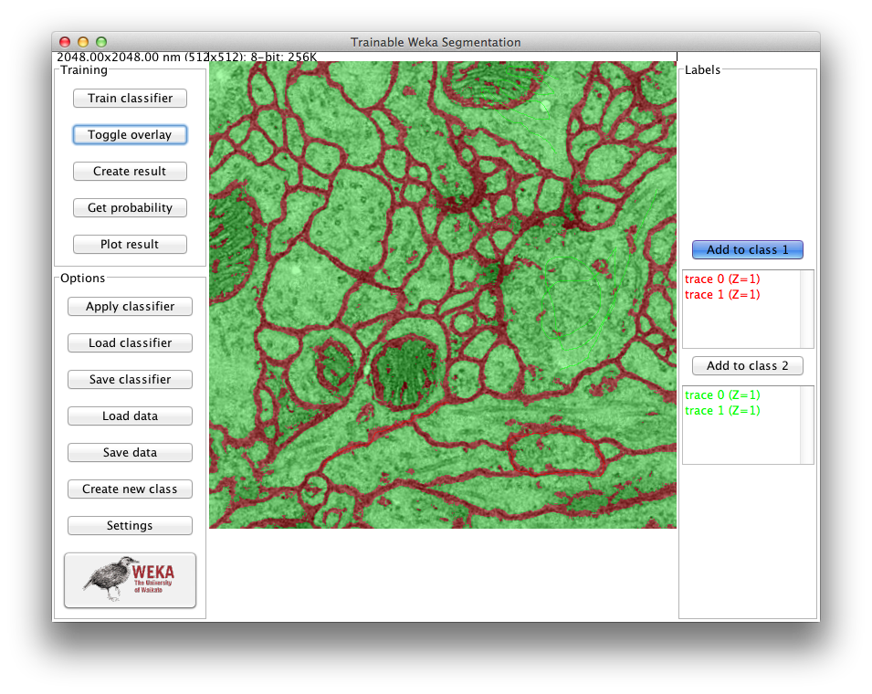 Trainable Weka Segmentation GUI after training