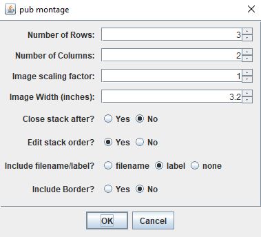 Pub Montage main window dialog